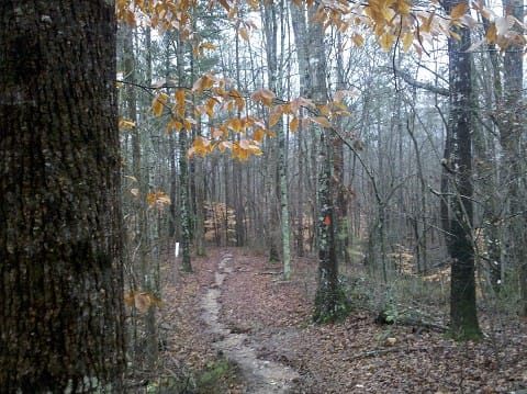 elachee "hobbit trails"/lake trails