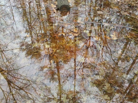 reflections of a prayerful playful hike at elachee