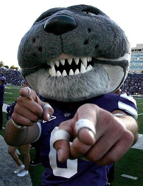 Willie the Wildcat!